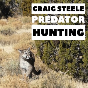 Craig Steele Predator Hunting learning how , when and where 10.4