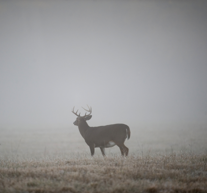 John Stallone's Quick tips for hunting deer #3