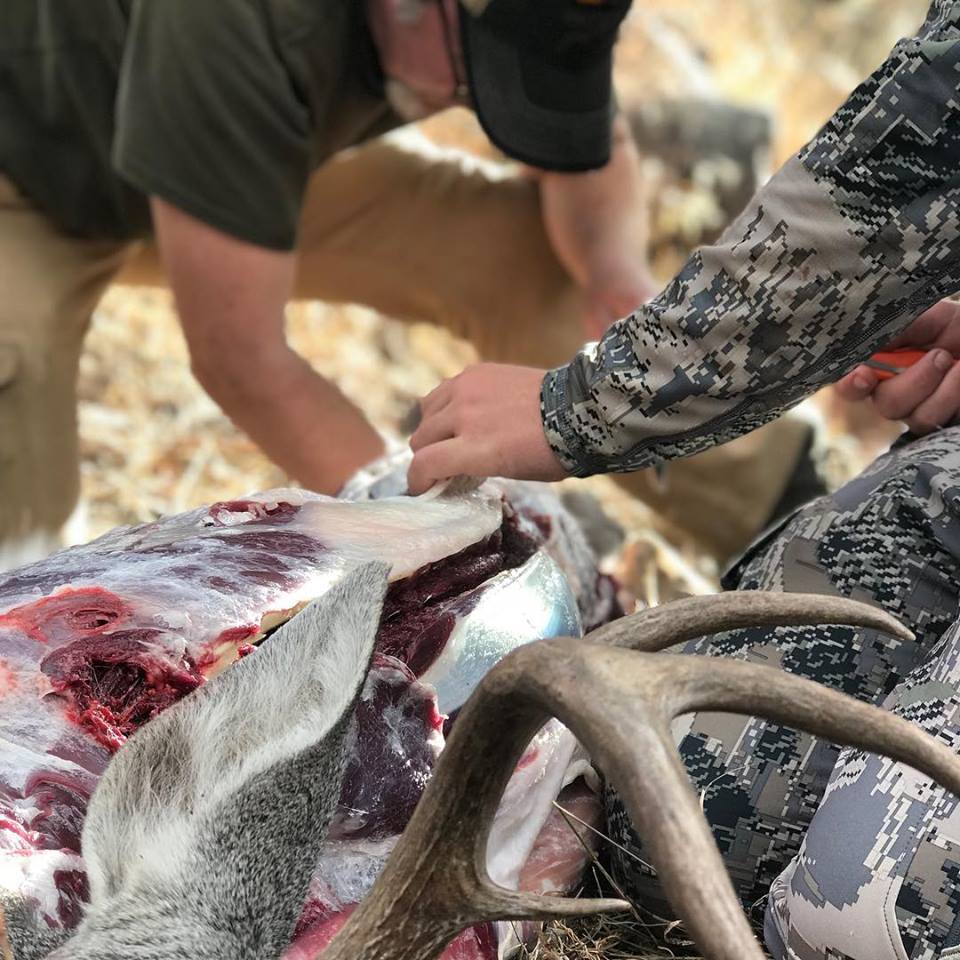 Late Season Coues Deer Recap With Hank Shaw 9.5