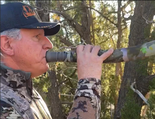 Days In The Wild - Big game Hunting podcast
