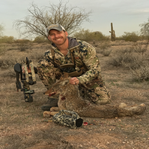 Lions, Foxes, and Coyotes Oh MY! Predator hunting tactics 10.42