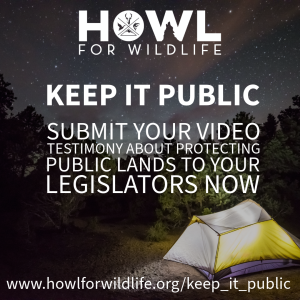 Public Lands NOT FOR SALE