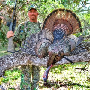 Scott Ellis 4x Grand National Champion Turkey Caller 11.20