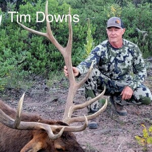 Tim Downs