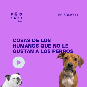 Episodio 71 Podcast La Pata - Cosas de los humanos que no le gustan a los perros
