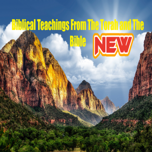 🧨 (NEW NEW) Programs/Teachers From The Torah/Bible w/3 Chapters