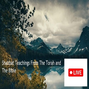 🎧Nearly 3 Hours of Shabbat Teachings from the Torah and The Bible