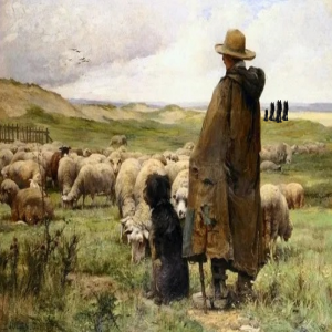 The Secret Behind Sheep, Wolves, Sheepdogs, and Shepherds