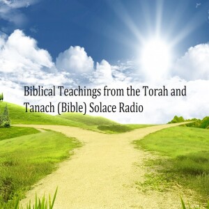 (NEW) 7 Hours w/ 8 Chapters of Biblical Teachings from the Torah and The Bible