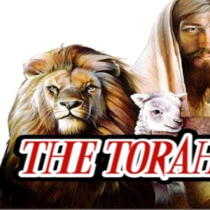 The Torah Is Life- When Is Jesus/Yeshua’s Second Coming