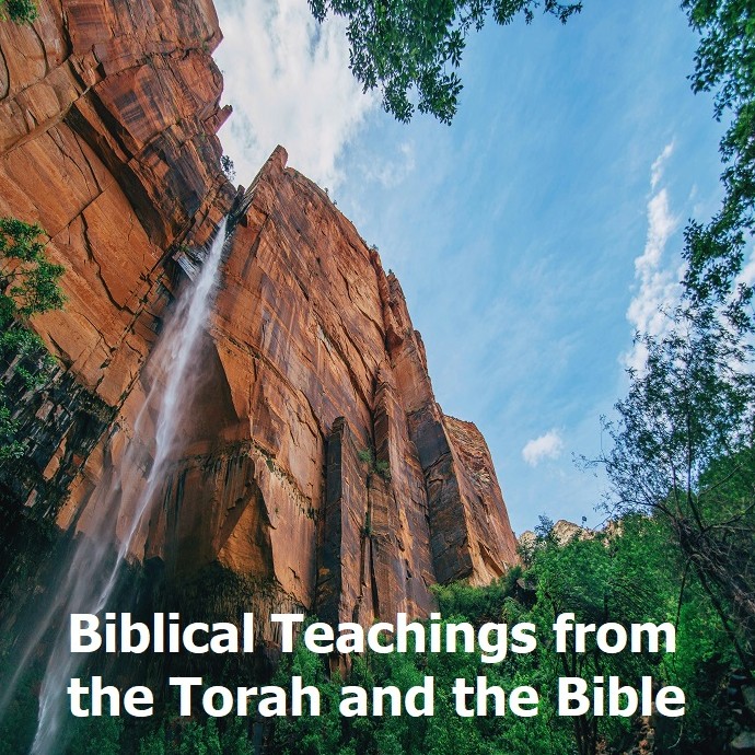 (Chapters) Teachings from the Torah and the Bible (Full Programs)