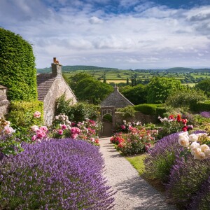 Journey to Sleep: Discovering Ireland's Atlantic Beauty