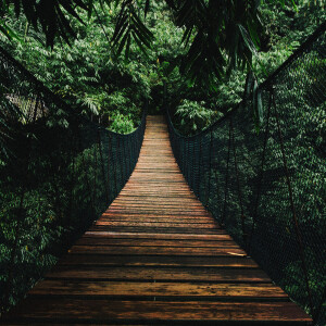Seven Bridges Road | Guided Meditation for Peacefulness & Sleep
