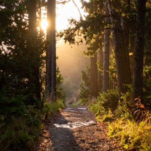 Rain and Thunder Meditation: Ambient Music for Deep Sleep & Calm Focus