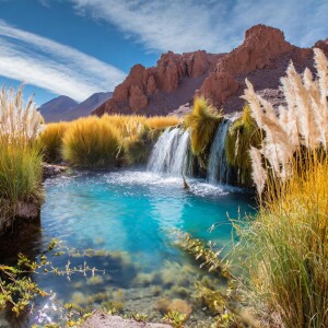 Desert Oasis: A Soothing Journey to Restful Sleep