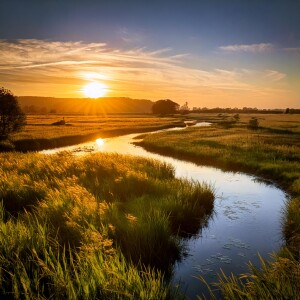 The River Alde – A Dreamlike Journey Through Nature & Myth