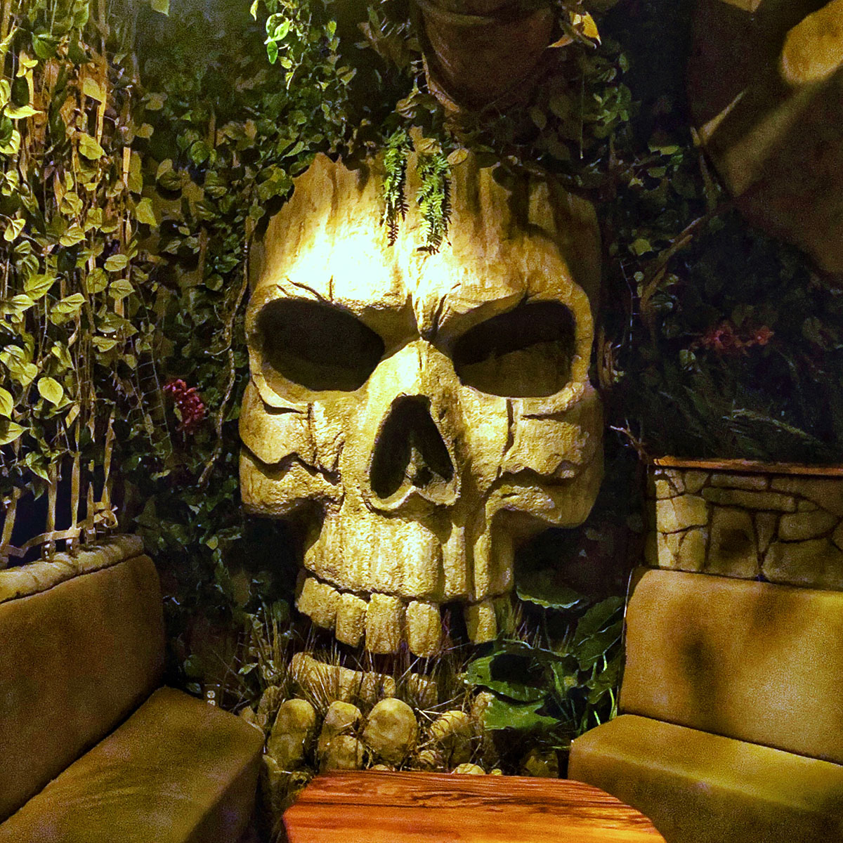 Inside the Desert Oasis Room