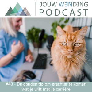 Jouw Wending #40 - De gouden tip om erachter te komen wat je wilt met je carrière