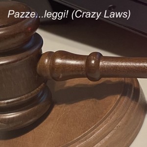 Pazze...leggi! (Crazy Laws)
