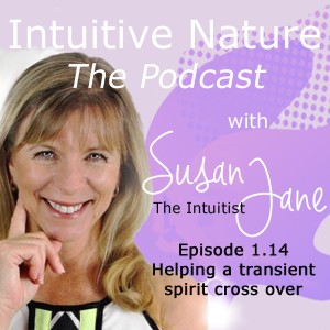 Intuitive Nature - Helping a transient spirit cross over.