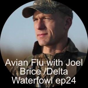 Avian Flu with Joel Brice /Delta Waterfowl ep24