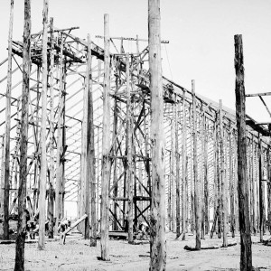 The Story of the Murtoa Stick Shed