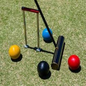 100 Years of the Donald Croquet Club
