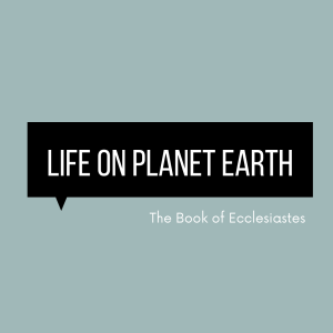 Ecclesiastes 3-4: Please Stop the Clock (Rymer)