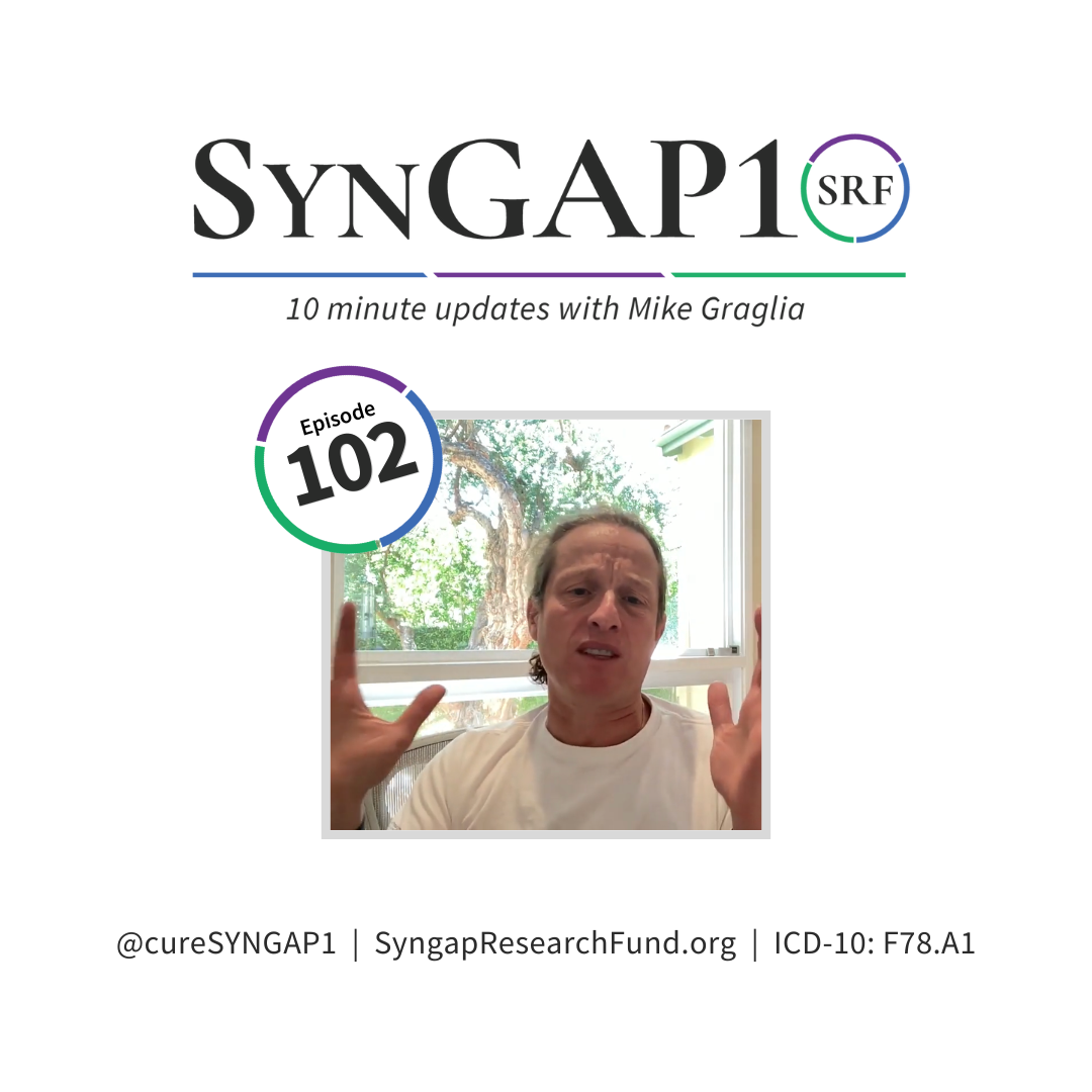 SynGAP10 weekly 10 minute updates on SYNGAP1