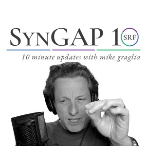 Sprint. BCH. Ciitizen. Meetings. Clicks. Docs. Wed. Volunteer! - Episode 7 of #Syngap10 - April 23rd, 2021