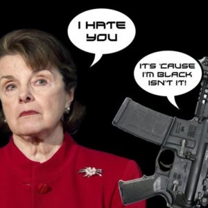 Senator Feinstein Claims Her ”Assault Weapons Ban” Worked + | Loki Luck ...