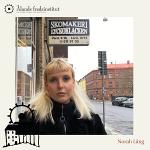 Inför Kastelholmssamtalen 2024: Norah Lång