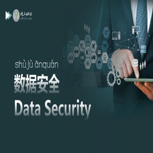 数据安全(shùjù ānquán) Data Security