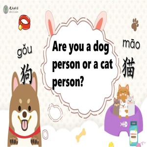 Are you a dog person or a cat person?