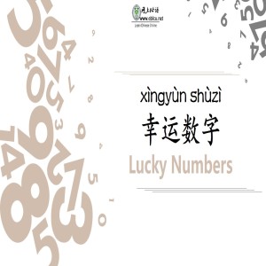 幸运数字(xìngyùn shùzì) Lucky Numbers