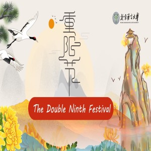 重阳节(Chóngyáng Jié) the Double Ninth Festival