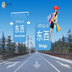 东西(dōng xī) or 东西(dōngxi) West and East? Things and stuff?