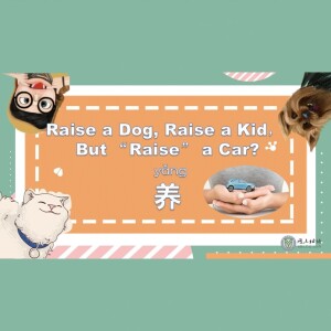 Raise a dog, raise a kid and ”raise” a car? All about 养(yǎng)