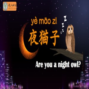 Are you a night owl?