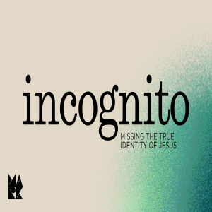 Incognito Part 2 | Jason Mizen