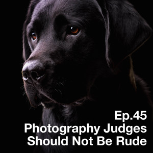 Ep.45 Photography Judges Should Not Be Rude