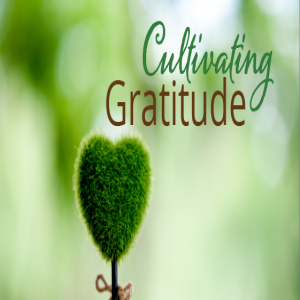 November 11, 2019 Cultivating Gratitude 