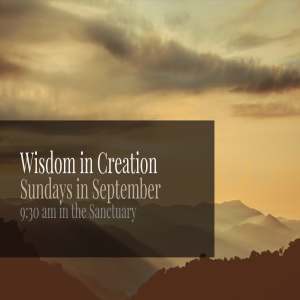 September 1, 2019 Wisdom in Creation ”Ocean” Ephesians 1:3-10 & Luke 5:1-11 Rev. Lina Thompson