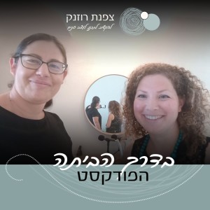 פרק 3- מי צריך מפקח בניה?! ועוד מפקחת?! עם רונית שגיב