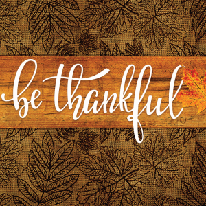 Three Reasons to be Thankful