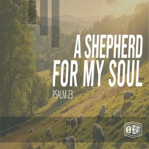 A Shepherd for My Soul pt 5: Overflowing Life