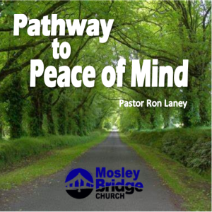 Pathway to Peace of Mind_03 - The Easy Yoke