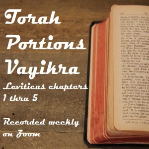 Torah Portions Vayikra