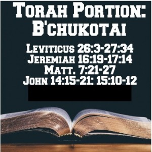 Torah Portions: B’Chukotai