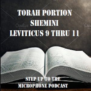 Weekly Torah Portion Shemini